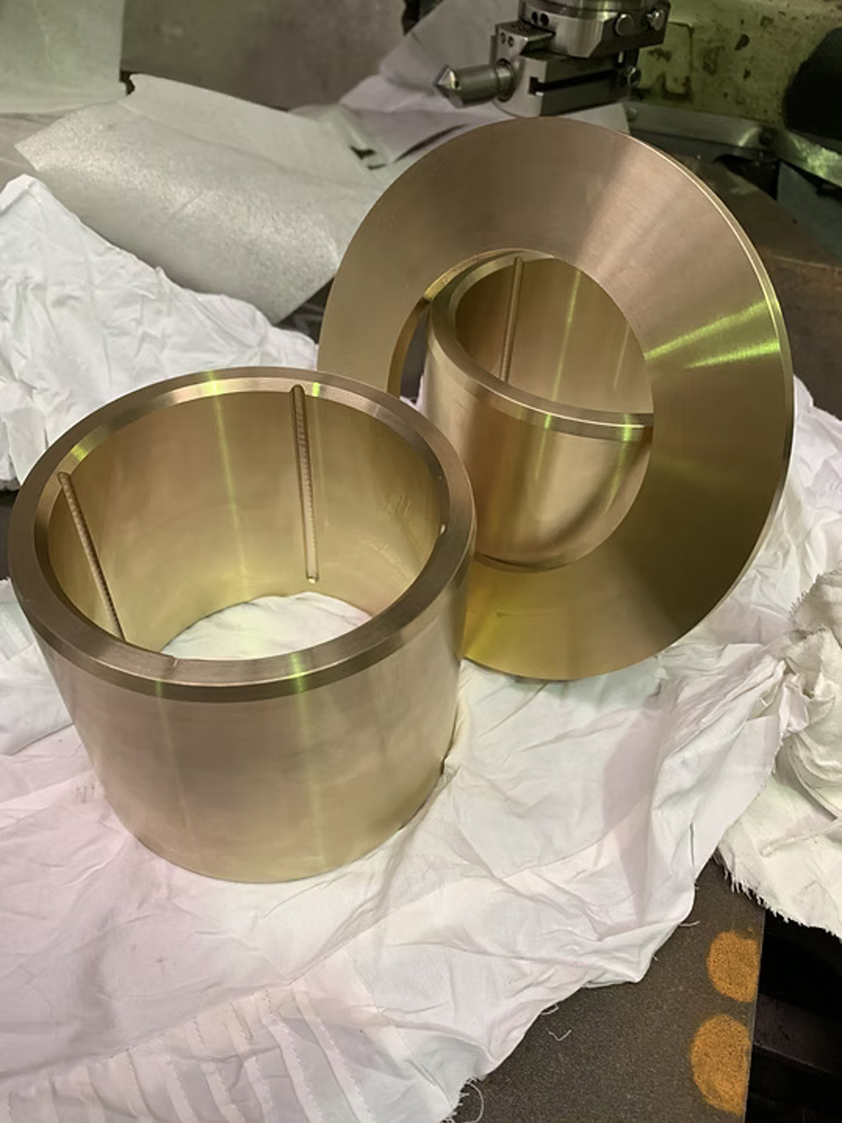 bronze-bushes-1.jpg